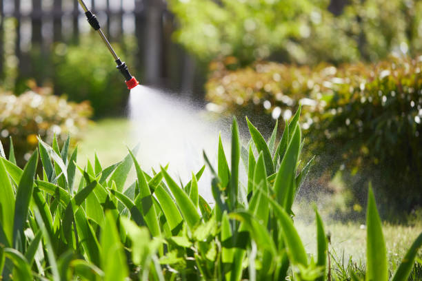 24/7 Emergency Mosquito Control experts in Columbus, NE